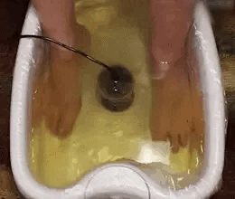 Balance+ - פתרון מתקדם לניקוי רעלים עמוק והשבת האיזון הטבעי לגוף